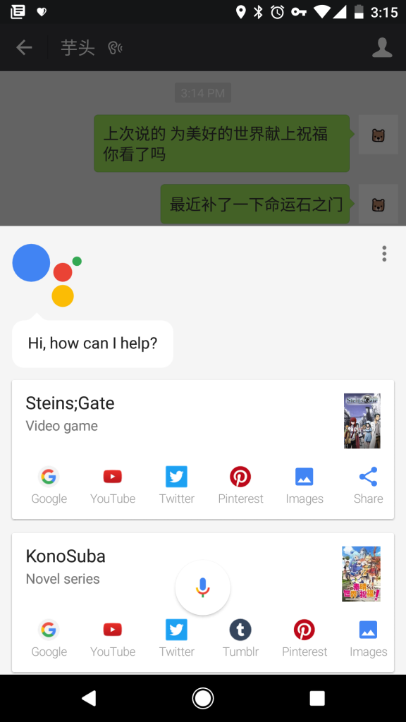 Google Assistant屏幕识别
