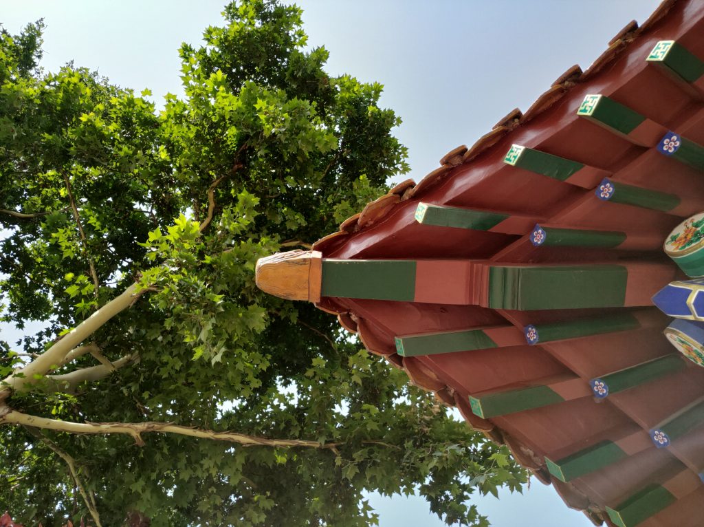 黑鲨手机样张