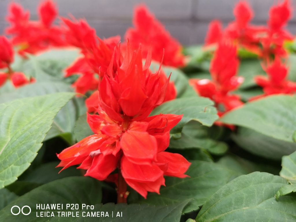 HUAWEI P20 Pro(1000万像素)