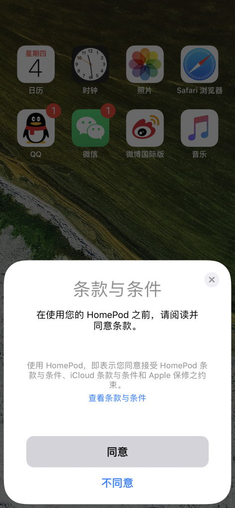 条款