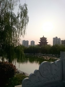 Xperia Z3 Compact白天样张