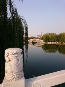 Xperia Z3 Compact白天样张