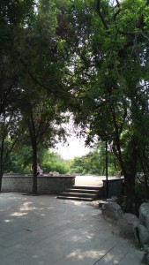 室外样张（正常）