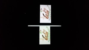 iPhone 6s Plus与Z1屏幕对比