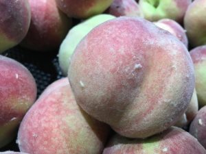 iPhone 6s Plus样张